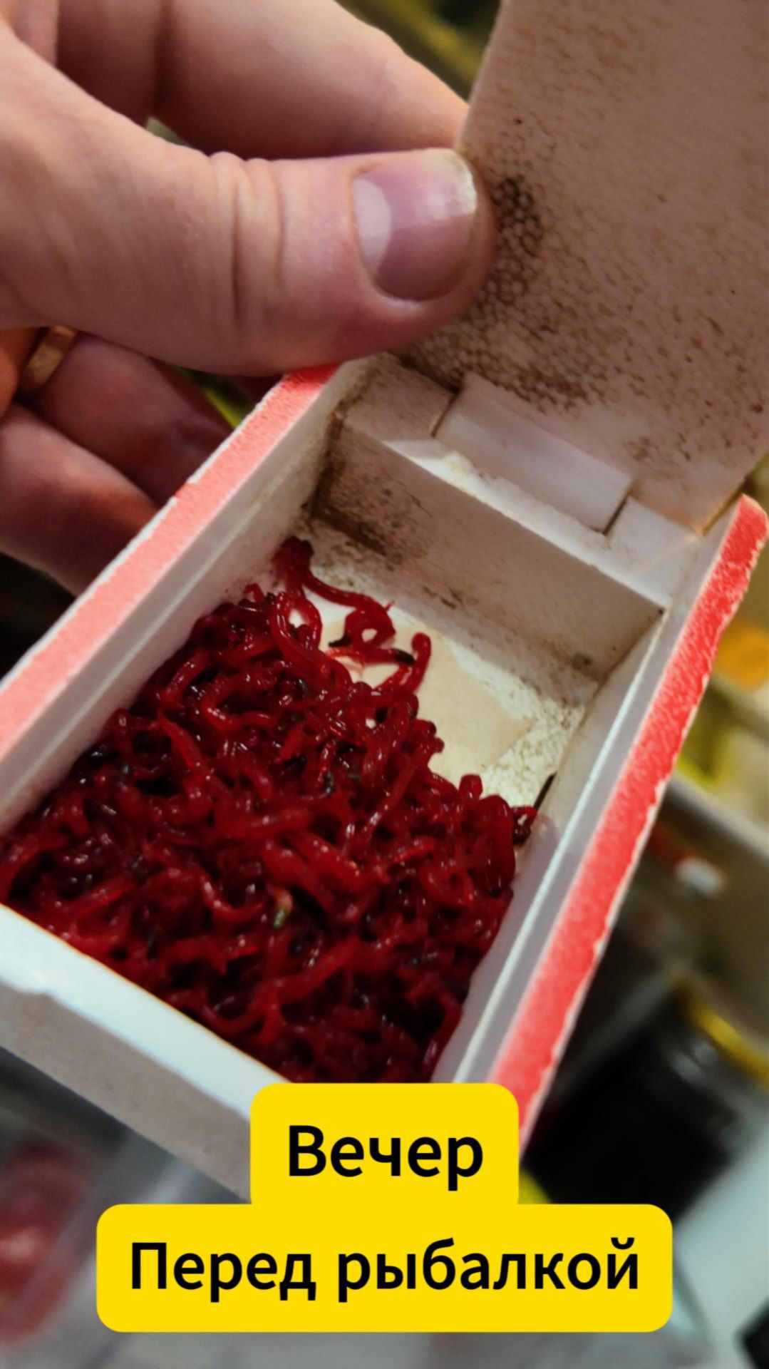 Вечер. Перед рыбалкой #рыболовмакс #последнийлед #тренд #топ #рыбалка