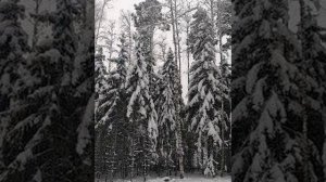 №109 Восстановление и гармонизация коры головного мозга