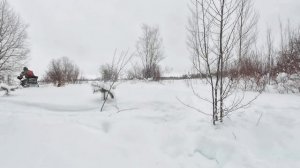 С ружьем их можно месяц искать и не найти, а без ружья вот они .