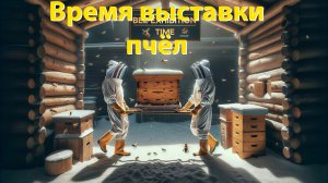 Когда выставлять пчёл? Секреты профессора Кашковского / Лучшие сроки весенней выставки