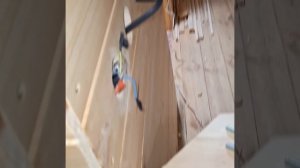 1000052220.mp4 (Собака наблюдает за устройством лестницы на 2-ой этаж в доме А-фрейм)