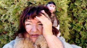 Николь не отпускает меня ни на минуту,она довольна только тогда,когда сидит вцепившись мне в волосы!