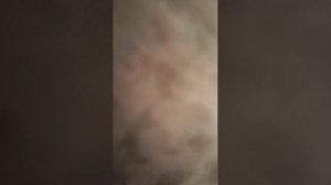 Я НАШЁЛ КОРОБКУ ОТ ТРИКОЛОРА!