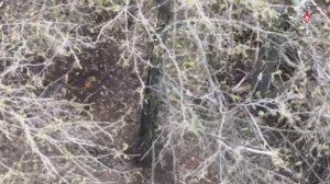 Расчет «Гиацинта» уничтожил пункты управления БПЛА противника в Запорожской области