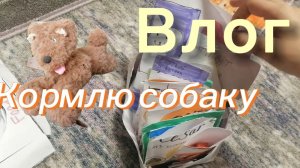 Влог😉☺️кормлю собаку💞🩷