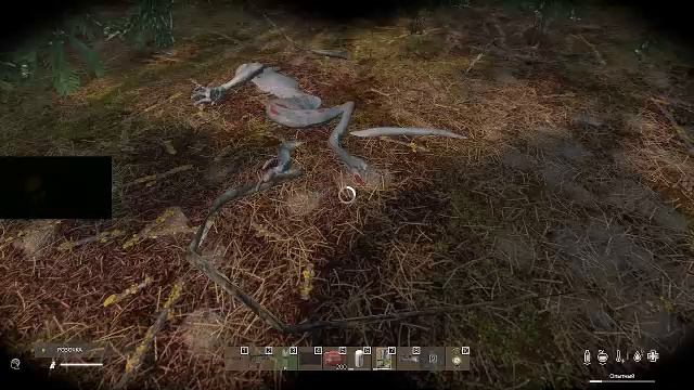 Days STALKER RP
