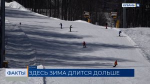 Сочи за январь и февраль посетили около 1 млн туристов