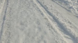 Приехали с города к себе в деревню