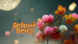 Добрый вечер пусть вечер будет добрым всем хорошего вечера 🌆✨