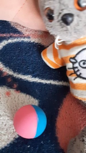 вся коллекция мячиков -попрыгунчиков басика 🥰