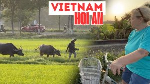 Вьетнам Что скрывается за туристическим Хой Аном? Поехали в деревню