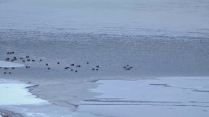 Программа "Главные новости" на 8 канале от 16.03.2026 Часть 2