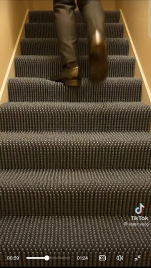 Какую лестницу выбрал ты?