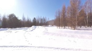 Прогулка, прощание с зимой