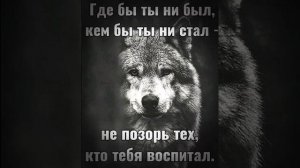 Шли Рядом По Жизни Делили Мечту 
Душевный Шансон💣💯