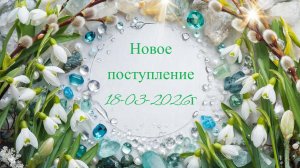 Новое поступление 18-03-2026