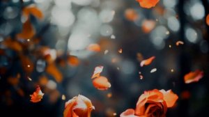 Ты глядела печально мимо...