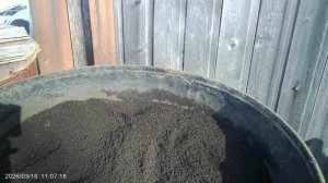 Чёрное золото или лучшее удобрение в мире