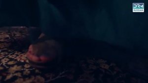 Гуддан. У тебя не выйдет! 82 серия (сериал, 2018)