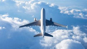 Я посмотрел на свою спящую помощницу. Симпатичная молодая женщина. Почему она не в браке...