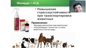 Мы в ответе за тех, кого приручили. Запись вебинара от 10.09.2019