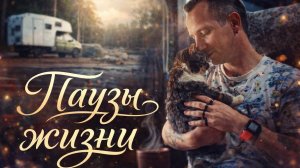 Паузы жизни