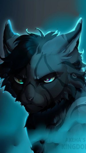 Я новая КВ-шнеца