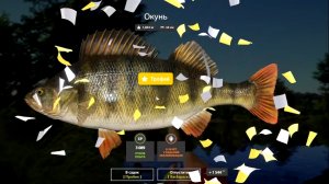 Русская рыбалка 4. Окунь на комаре