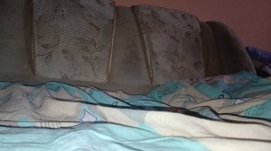 Обзор на мою коллекцию Ферби