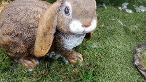 # красота в аэропарке оформленение