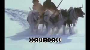 Подборка кинохроники и видео разных лет о жизни города Апатиты. Для проекта «Новый город»