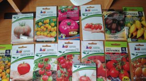 15 марта 2026г. Посев томатов и редиски. Обзор рассады за неделю.