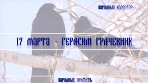 17 марта - Герасим Грачевник. Народный календарь: приметы и традиции