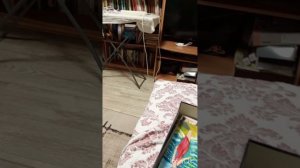 Продаю свои картины