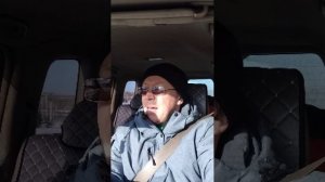 Поехал на участок покормить собаку