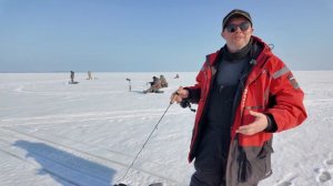 За весенним судаком на Горьковское водохранилище. Рыбалка на вибы.