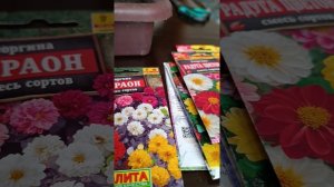 Сажаю цветы.