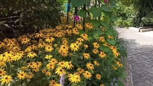 Сады санатория Узбекистан  Ялта