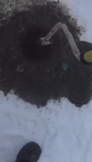 Пробурил Лунку пошла Нефть Shorts