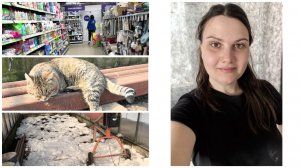 Гуляем по Fix Price 🤗 | Готовлю теплицу к ПОСАДКЕ👩🌾