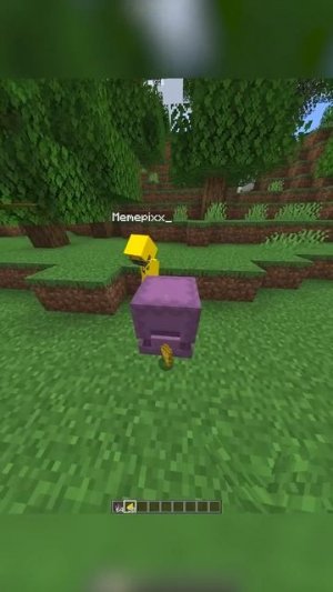 ПРОВЕРКА МИФОВ 2 @Memepixx | CLEX #shorts