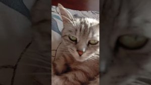 привет сново