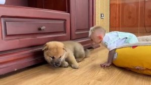 Домашние заботы.