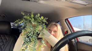 Удачные покупки из Фикс прайс//Мой простой уход за волосами