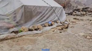 В горах Загрос.