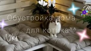 🪽🪴°~обустройка домика для котика°~🌷💝