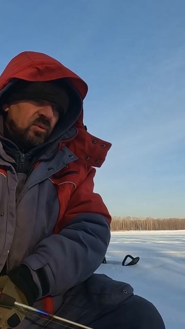 Редкий гость !