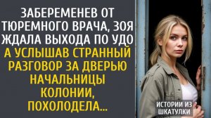 Истории из жизни Забеременев от тюремного врача Зоя ждала выхода по УДО… А услышав странный разговор