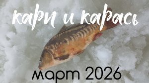 Рыбалка весной на льду. Карп и Карась на мормышку. 16 марта 2026 г.