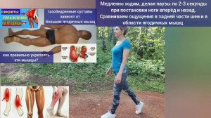 Деградация ягодичных мышц и мышц атланта вредит шее и мозгу. Упражнения